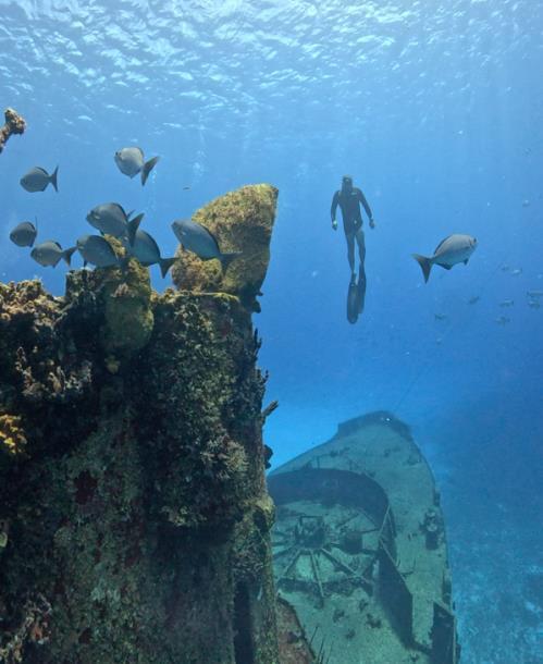 Récif tropical lors de la retraite apnée à Cozumel