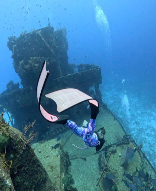 Raie mobula dans la mer de Cortés près de La Ventana