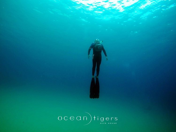 AIDA 4 + INSTRUCTOR freediving package in Cabo San Lucas
