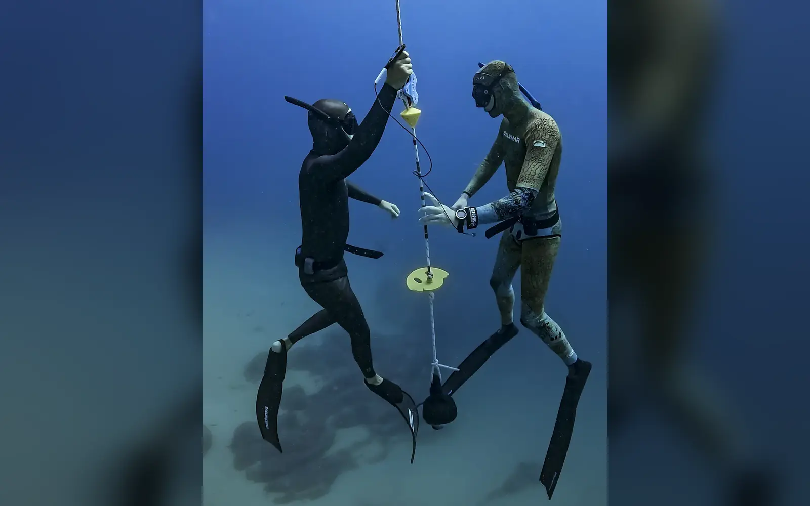 AIDA 1 · Discovery · Ocean Tigers