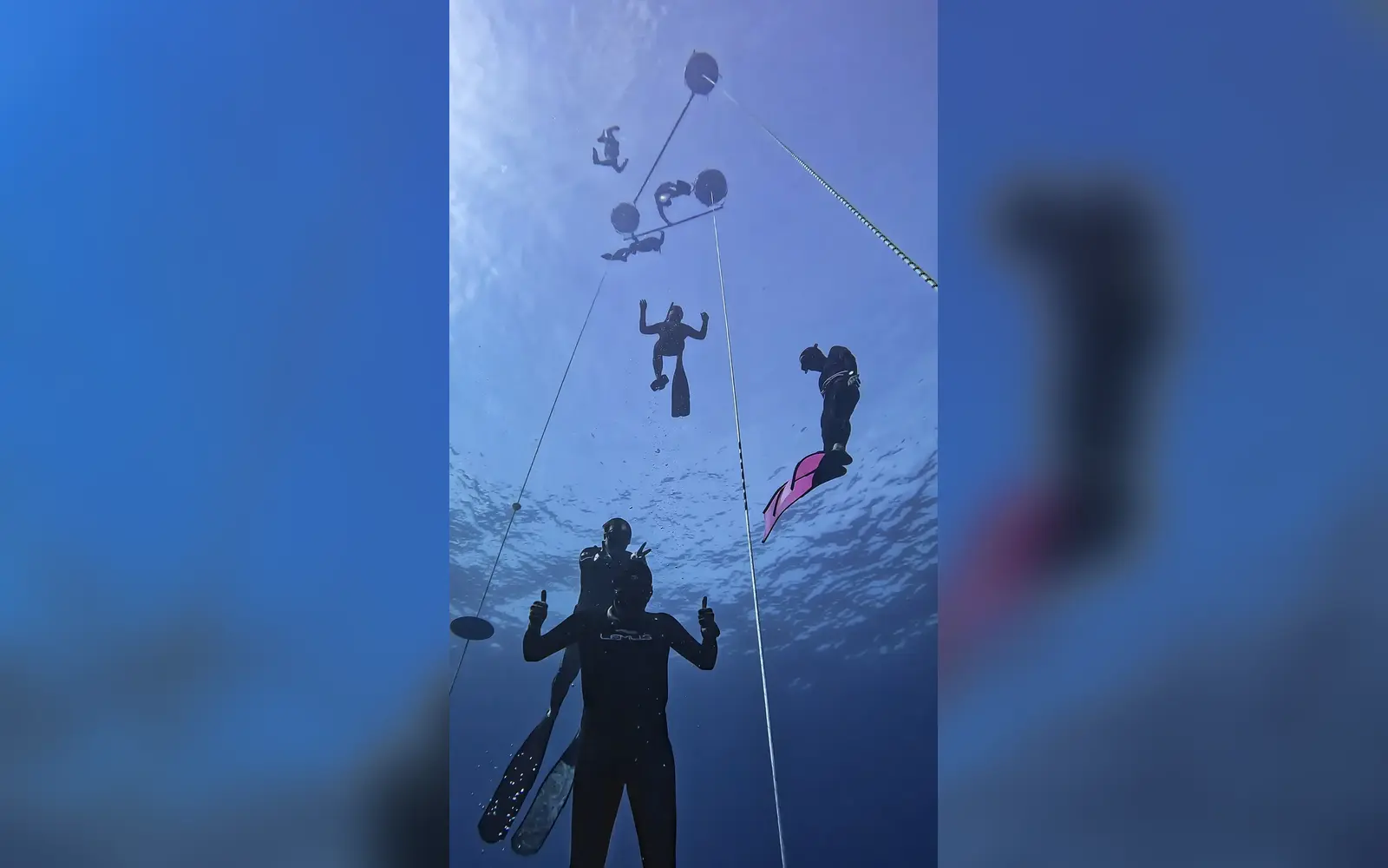AIDA 2 · Freediver · Ocean Tigers