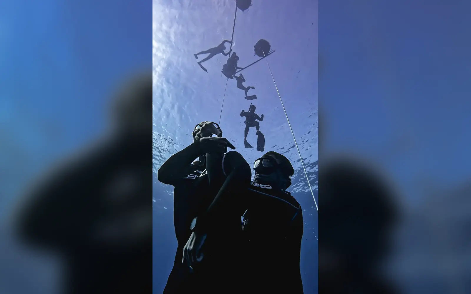 AIDA 4 · Master Freediver (AIDA Assistant Instructor) · Ocean Tigers