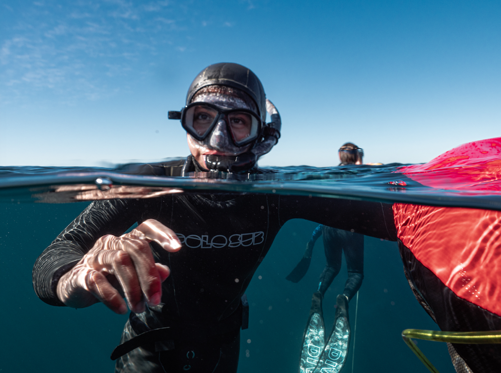 AIDA 3 + AIDA 4 freediving package in Cabo San Lucas